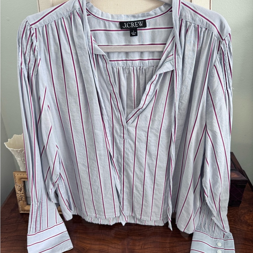J. Crew Women's Pale blue and Red Striped Blouse